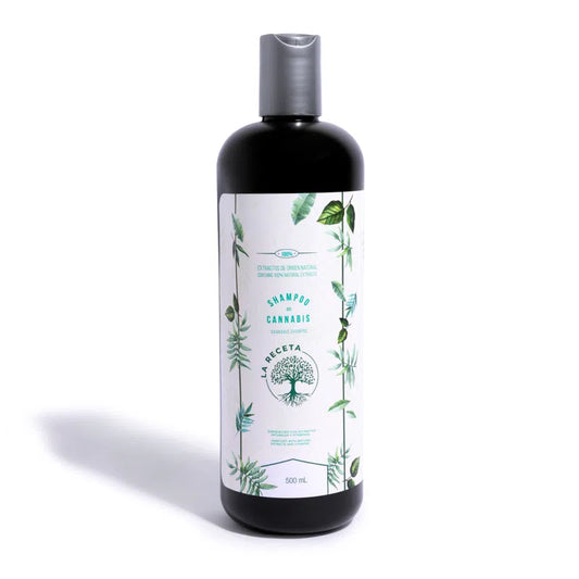 Shampoo de canabis la receta CBD