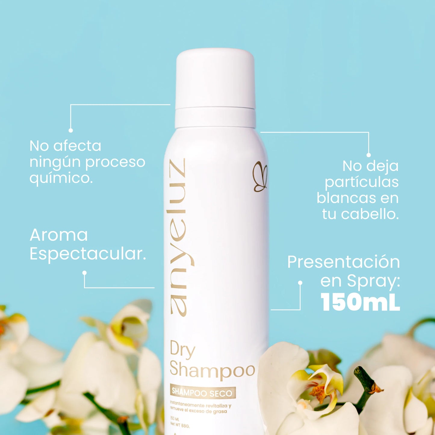 Shampoo en seco anyeluz